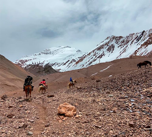 Crossing the Andes on horseback